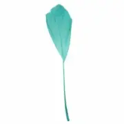 Stripped Goose Nagoire Feathers 10 grams - Spearmint