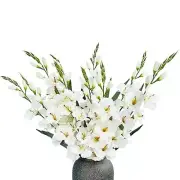 Pack of 10 - Artificial Gladiolus Silk Orchids Flower Stems Fake White