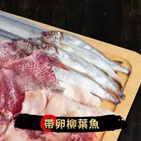 在飛比找樂天市場購物網優惠-『萬國海宴』帶卵柳葉魚