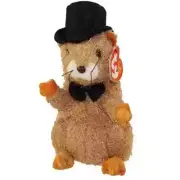 MWMT mint condition INTERNET EXCLUSIVE PUNXSUTAWN-E PHIL the groundhog WITH TAGS