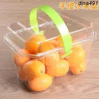 在飛比找蝦皮商城精選優惠-熱銷︱水果打包盒手提水果盒 一次性冬棗打包盒 塑膠 長方形透