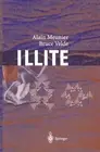 Illite: Origins, Evolution and Metamorphism by Alain Meunier (English) Hardcover