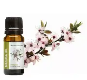 MANUKA OIL by Vando Naturals - 0.33 fl.oz