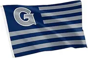 Desert Cactus Georgetown University 100% Polyester Indoor Outdoor 3x5 feet Banner Hoyas GU (Flag Nation 2)