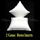 GOOSE DOWN & FEATHER SCATTER CUSHION INSERTS X 2 - 60cm x 60cm - SALE SPECIAL