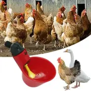 1/5/10x Automatic Cups Water Feeder Drinker Chicken Waterer Poultry Chook BiNV