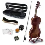 SKY AA+ Maple 4/4 Size VN512 Violin Grand Master Series Professional Fiddle NEW