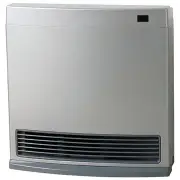 Rinnai Dynamo 15 ConvectorNG DY15SN