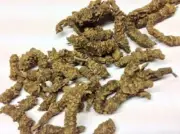 Indian Valerian Tagara Valeriana Wallichii Tagar Herbal ROOTS WHOLE F-SHIP 50gm