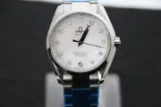 omega Seamaster Co-Axial Aqua Terra Chronometer (M) 231.10.39.21.55.002 #003