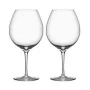 Orrefors Premier Pinot Noir Glass, Set of 2