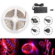 Waterproof 5M Red:Blue 5:1 SMD5050 Full Spectrum LED Strip Grow Plant Light + Power Supply DC12V 7757 US PLUG