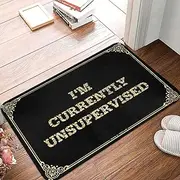 Dsoluuing Mat Outdoor I'm Currently Unsupervised Doormat Welcome Mats Funny Rugs for Bedroom Aesthetic (Color : Colour, Size : 40X60CM)