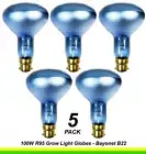 5 x 100W Plant Grow Light R95 Reflector Light Globes Bulbs Bayonet B22 BC