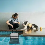 Pool Escape Ramp - Straps and Foam Inserts Floating Frog Saving | Ramp Trapped Animals Pond Ladder | Frog Egress Ramps for Animals While Resisting Movement