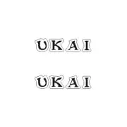 UKAI - MINI rim decals - Old school bmx