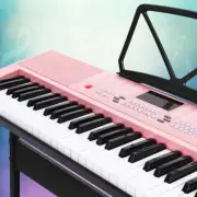 61-Key Lighted Portable Keyboard Electric LED Display Adjustable Stand 12V Pink