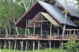 婆羅洲自然Sukau Bilit度假村Borneo Natural Sukau Bilit Resort