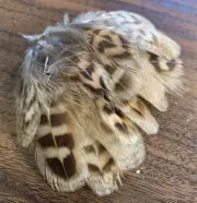 20pcs Natural Leopard Print 5cm Pheasant Feathers DIY Craft Jewellery Fly Tying