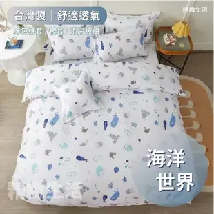 現貨 冬天 鋪棉款 厚床包  單人 雙人 加大 床包 台灣製 床包 枕套 舒柔棉 床包組