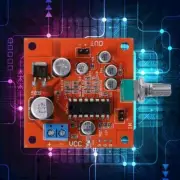 PT2399 Microphone Reverb Plate Reverberation Board Preamplifier Best NEW J4Z4