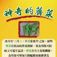 在飛比找iOPEN Mall優惠-薺菜豬肉小餛飩