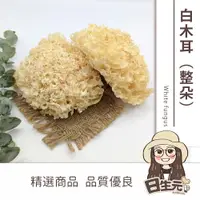 在飛比找樂天市場購物網優惠-【日生元】 生機 白木耳 300g 整朵 銀耳 雪耳 兩種包