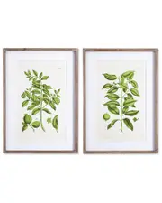 Napa Home & Garden Set of 2 Guava Prints