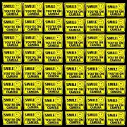 BULK HOME SECURITY ALARM WARNING STICKER DECALS SIGNS VIDEO CAMERAS SYSTEM AUTO