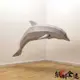 下殺-【送工具包】3D立體紙模型 海豚 大型海洋動物 活動訂製道具 創意手工摺紙DIY材料 3D手工摺紙立體 壁掛牆