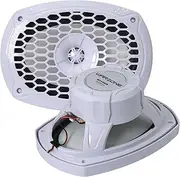 Warzone WZ69MW 6x9-Inch 2-Way Marine Speaker, 1200W Max, 4 Ohms, 20oz Magnet, White Injection Cone with Rubber Edge for Boats and Outdoor Audio (2 Speakers)