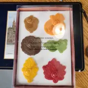 Williams-Sonoma 2018 S/6 FALL Turkey Pumpkin Leaves Acorn Pie Crust Cutters New