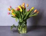 Tulips & Umbrella