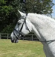 Rhinegold Anatomic Bridle - Extra Full - Black