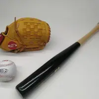 在飛比找蝦皮購物優惠-【現貨】套裝 棒球手套棒球棍棒球壘球專業比賽少年成人棒球手套