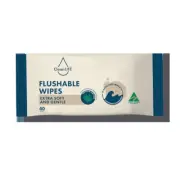 CleanLife Aloe Vera Flushable Wipes 40 sheets x 12 packs per carton