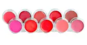 LIPSTICK KIT Mineral Makeup Lip Gloss Liner Long Lasting Waterproof Bare Skin