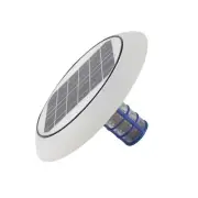 Solar Ionizer, Solar Chlorine, Free Sun Shock, Reduce Chlorine, 13 inches-Lar...