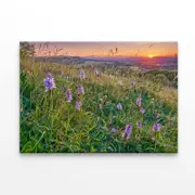 Grassland with Orchids, Mountains Print 100% Australian Made 150 x 100cm (Stretched)