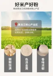 teaCooked Brown Rice Powder, Ready-to-eat Breakfast Powder, Puffed Whole Grains