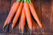 CARROT 'Nantes Darcy' seeds