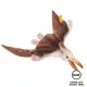 【STEIFF德國金耳釦泰迪熊】Pteranodon 梁龍(動物王國_黃標)