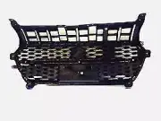 Radiator Grille for MARUTI SWIFT 3RD GEN F/L - 71740M68T00-C48 - MARUTI SUZUKI (for: Suzuki)