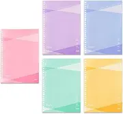 Plus Loose Leaf Pasty B5, 50 Sheets x 5 Colors, Notebook, Loose Leaf NL-005DS-P 76030-76034 x 5