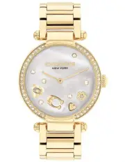 [Coach] Elliot Ionic Plated Steel Dial Watch in Gold