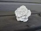 White Cactus Flower Floral Knob Drawer Pull ~ Cottage Nature Garden Home Decor