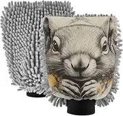 XYMZR Absorbent Microfiber Car Wash Mitt Squirrel Flower Cute, Funny Cute Anime Scratch Free for Cars Cleaning, Home Cleaning Mitts, 2 Pack, 10.24” L x 7.09” W