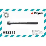 Payen Cylinder Head Bolt Set - HBS315