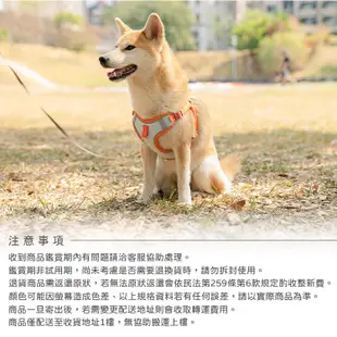 小型犬胸背帶 胸背帶 中型犬胸背帶 小貓胸背帶 寵物胸背帶 寵物背帶胸背帶 工字胸背帶 h胸背帶 透氣胸背帶【X048】