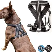 Zenify Pets Dog Harness - Chest Vest Cross Adjustable Reflective for Puppy Small Dogs (Black, Small)…